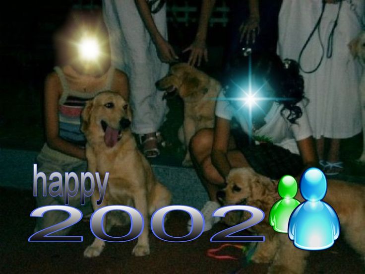2002 Meme